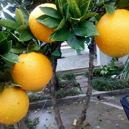 Jadranka Διαμέρισμα *