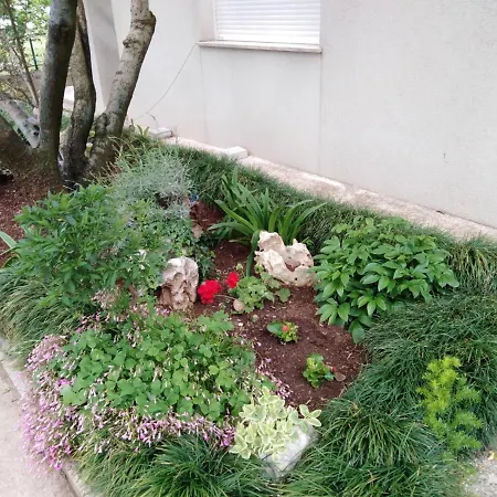 Jadranka Apartmán *